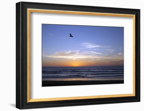 Sunset over La Jolla Coast, California, United States of America, North America-Thomas L-Framed Photographic Print