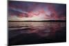 Sunset over Lake Washington. Seattle, Washington-Steven Gnam-Mounted Photographic Print