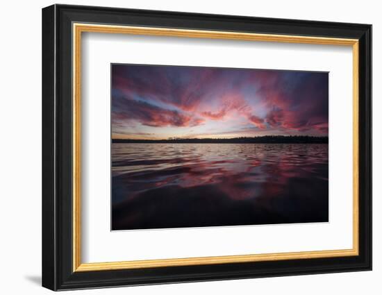 Sunset over Lake Washington. Seattle, Washington-Steven Gnam-Framed Photographic Print