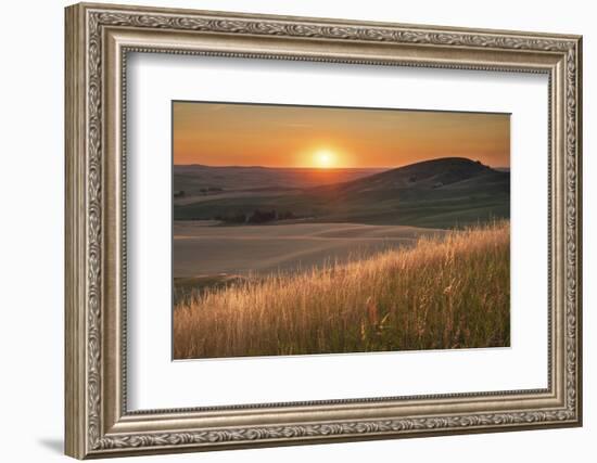 Sunset over rolling hills and farmland of Palouse Region, Washington State.-Alan Majchrowicz-Framed Photographic Print