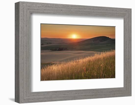 Sunset over rolling hills and farmland of Palouse Region, Washington State.-Alan Majchrowicz-Framed Photographic Print