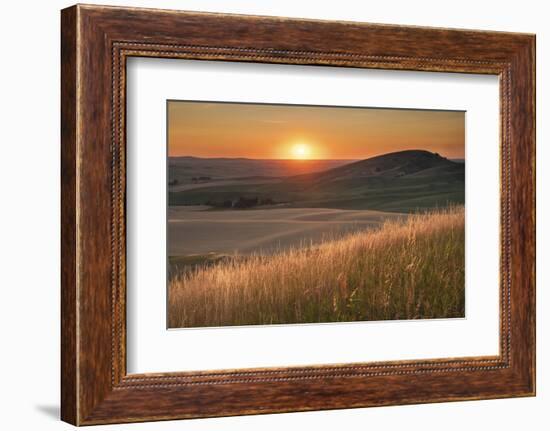 Sunset over rolling hills and farmland of Palouse Region, Washington State.-Alan Majchrowicz-Framed Photographic Print