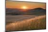 Sunset over rolling hills and farmland of Palouse Region, Washington State.-Alan Majchrowicz-Mounted Photographic Print