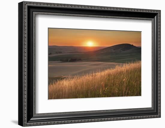 Sunset over rolling hills and farmland of Palouse Region, Washington State.-Alan Majchrowicz-Framed Photographic Print