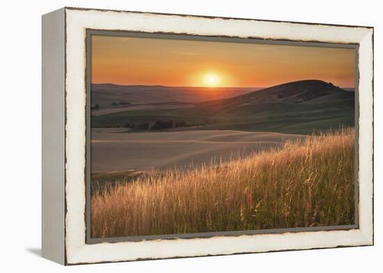 Sunset over rolling hills and farmland of Palouse Region, Washington State.-Alan Majchrowicz-Framed Premier Image Canvas