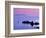 Sunset over Sand Wick and Rising Moon over Foula in Distance, Eshaness, Shetland, Scotland, UK-Patrick Dieudonne-Framed Photographic Print