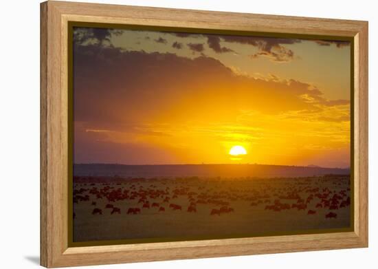 Sunset over Serengeti National Park-null-Framed Premier Image Canvas