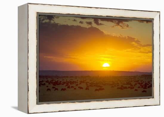 Sunset over Serengeti National Park-null-Framed Premier Image Canvas