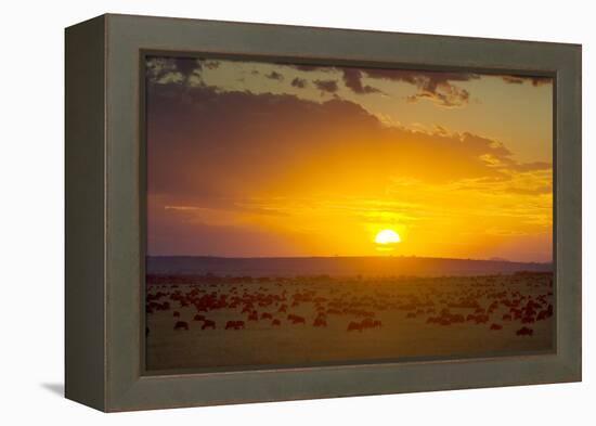 Sunset over Serengeti National Park-null-Framed Premier Image Canvas