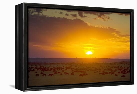 Sunset over Serengeti National Park-null-Framed Premier Image Canvas