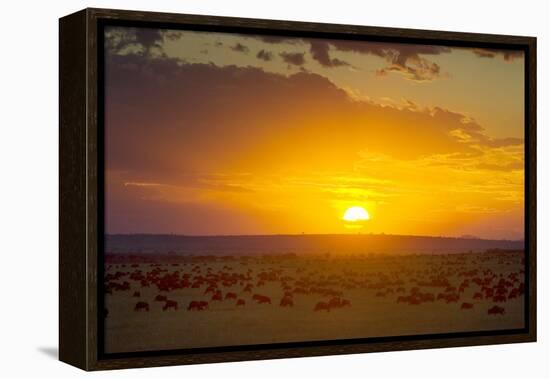 Sunset over Serengeti National Park-null-Framed Premier Image Canvas