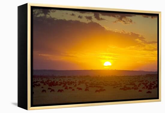 Sunset over Serengeti National Park-null-Framed Premier Image Canvas