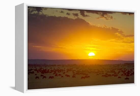 Sunset over Serengeti National Park-null-Framed Premier Image Canvas