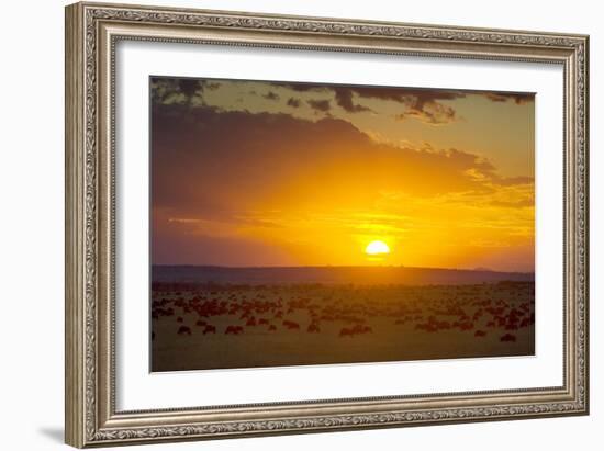 Sunset over Serengeti National Park-null-Framed Photographic Print