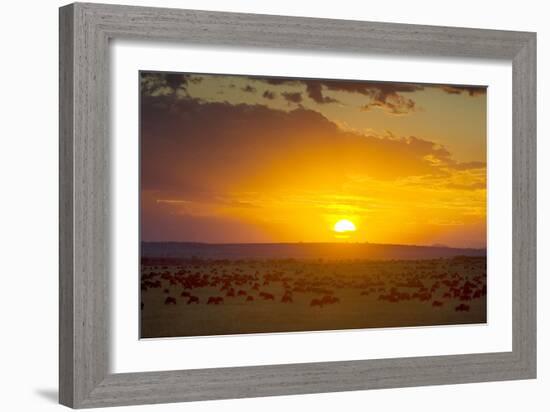 Sunset over Serengeti National Park-null-Framed Photographic Print