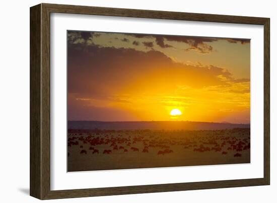 Sunset over Serengeti National Park-null-Framed Photographic Print