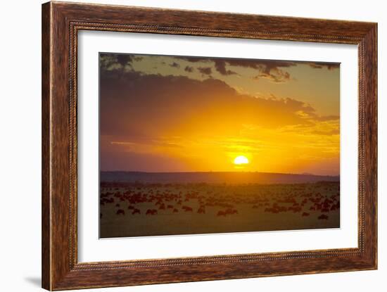 Sunset over Serengeti National Park-null-Framed Photographic Print