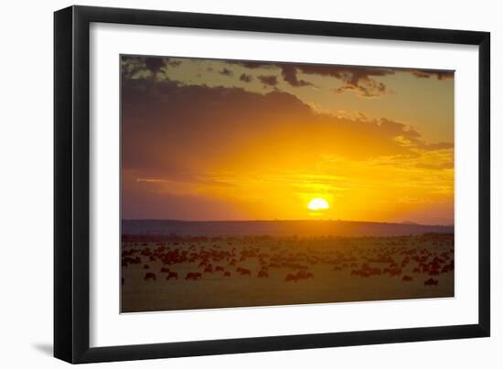 Sunset over Serengeti National Park-null-Framed Photographic Print