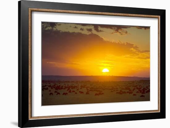 Sunset over Serengeti National Park-null-Framed Photographic Print