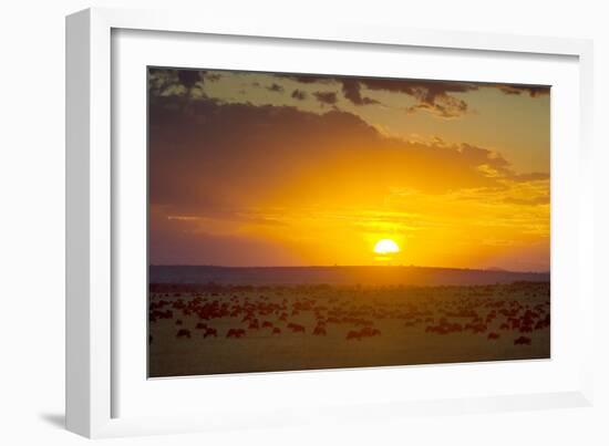 Sunset over Serengeti National Park-null-Framed Photographic Print