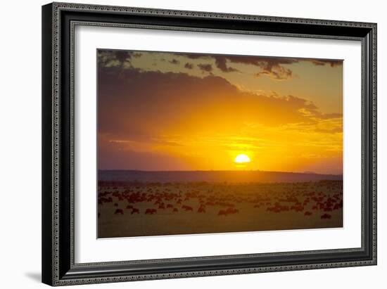 Sunset over Serengeti National Park-null-Framed Photographic Print