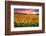 Sunset Over Sunflower Field-Philippe Sainte-Laudy-Framed Photographic Print