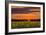 Sunset over Sunflowers-Michael Blanchette Photography-Framed Photographic Print