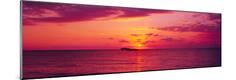 Photographic Print
