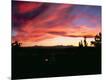 Photographic Print