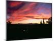 Photographic Print