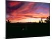 Photographic Print