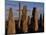 Sunset over the Central Circle of Ancient Standing Stones at Callanish, Dating to Neolithic Times-Mark Hannaford-Mounted Photographic Print