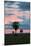 Sunset over the Cerrado Landscape and Palm Trees-Alex Saberi-Mounted Photographic Print