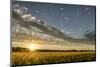 Sunset Over the Golden Meadow-Don Schwartz-Mounted Art Print