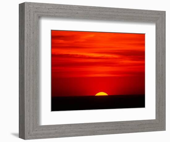 Sunset Over the Gulf of Mexico, Florida, USA-Charles Sleicher-Framed Photographic Print