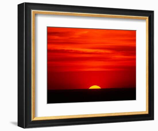 Sunset Over the Gulf of Mexico, Florida, USA-Charles Sleicher-Framed Photographic Print