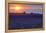 Sunset over the lavender fields in Valensole Plain, Provence, Southern France.-Michele Niles-Framed Premier Image Canvas