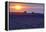 Sunset over the lavender fields in Valensole Plain, Provence, Southern France.-Michele Niles-Framed Premier Image Canvas