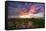 Sunset Over The Mangroves In Eleuthera, The Bahamas-Erik Kruthoff-Framed Stretched Canvas