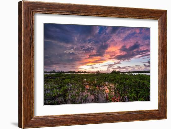 Sunset Over The Mangroves In Eleuthera, The Bahamas-Erik Kruthoff-Framed Photographic Print