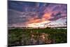 Sunset Over The Mangroves In Eleuthera, The Bahamas-Erik Kruthoff-Mounted Photographic Print