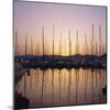 Sunset Over the Marina, St. Tropez, Cote d'Azur, Var, Provence, France, Europe-Ruth Tomlinson-Mounted Photographic Print