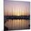 Sunset Over the Marina, St. Tropez, Cote d'Azur, Var, Provence, France, Europe-Ruth Tomlinson-Mounted Photographic Print