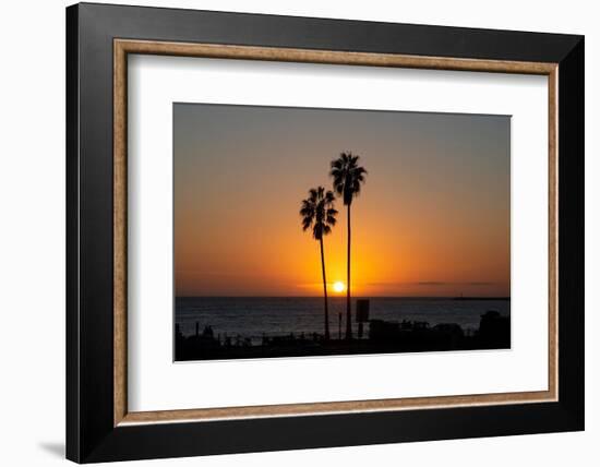 Sunset over the ocean and two palm trees in silhouettte, Dana Point, California-Ethel Davies-Framed Photographic Print