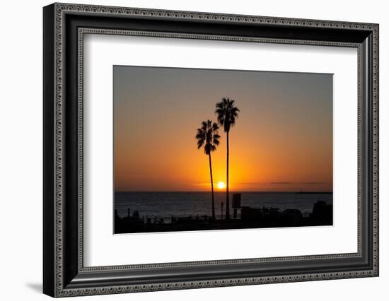Sunset over the ocean and two palm trees in silhouettte, Dana Point, California-Ethel Davies-Framed Photographic Print