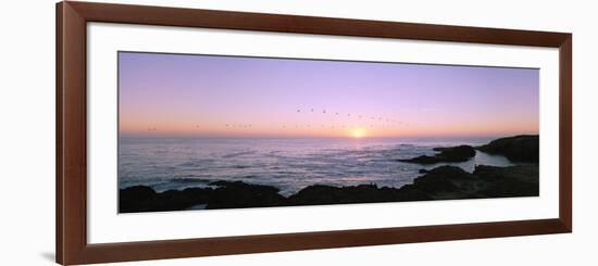 Sunset over the Ocean with Flock of Birds, Mendocino, Mendocino County, California, USA-null-Framed Photographic Print