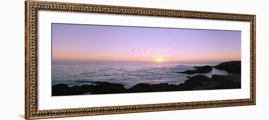 Sunset over the Ocean with Flock of Birds, Mendocino, Mendocino County, California, USA-null-Framed Photographic Print