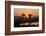 Sunset over the Okavango Delta, Botswana, Africa-Sergio Pitamitz-Framed Photographic Print