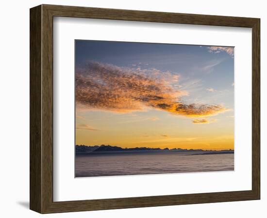 Sunset over the sea of fog on the Uetliberg near Zurich-enricocacciafotografie-Framed Photographic Print