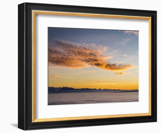 Sunset over the sea of fog on the Uetliberg near Zurich-enricocacciafotografie-Framed Photographic Print